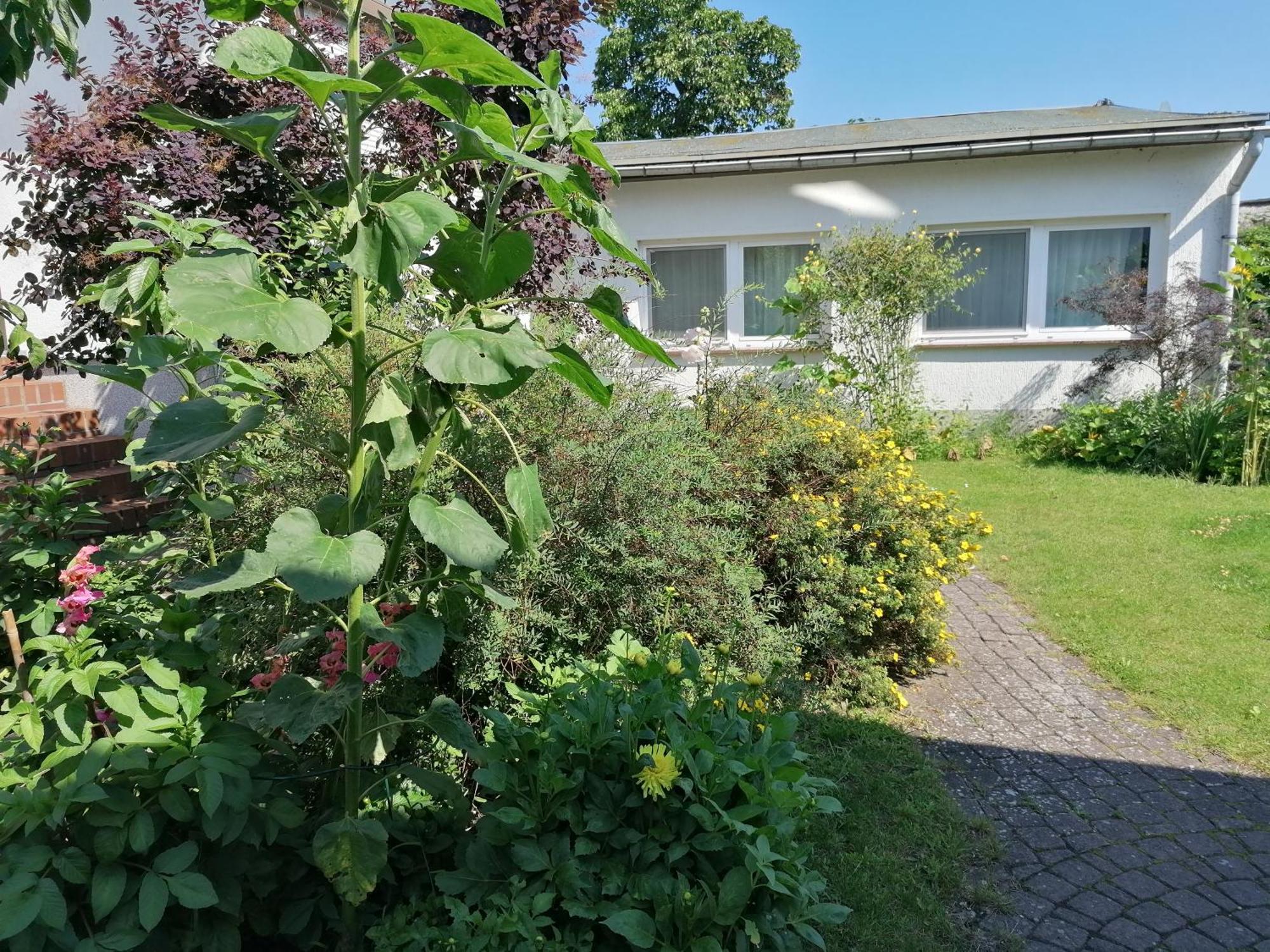 Pension Haus Anneliese 우케리츠 외부 사진