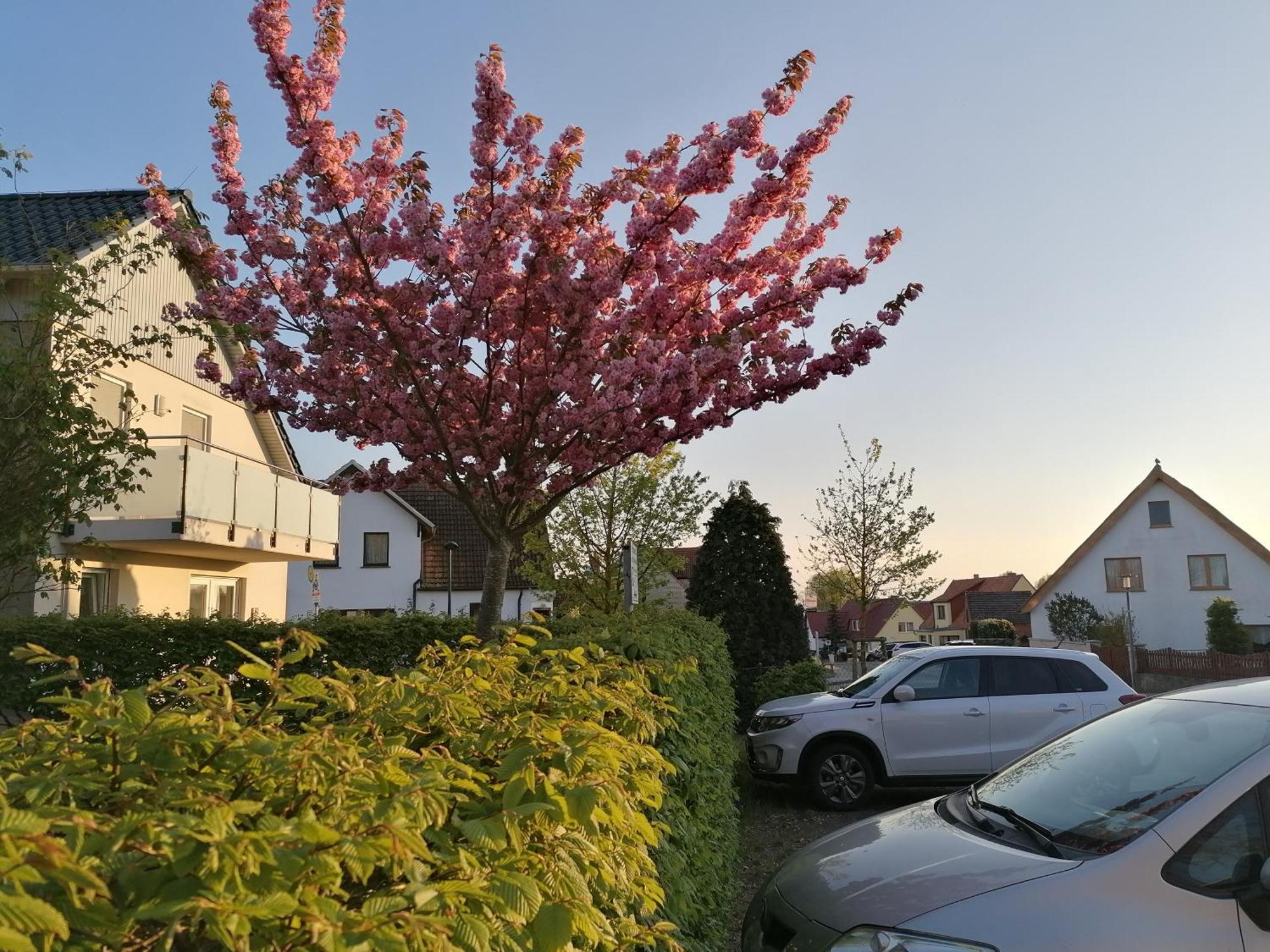 Pension Haus Anneliese 우케리츠 외부 사진