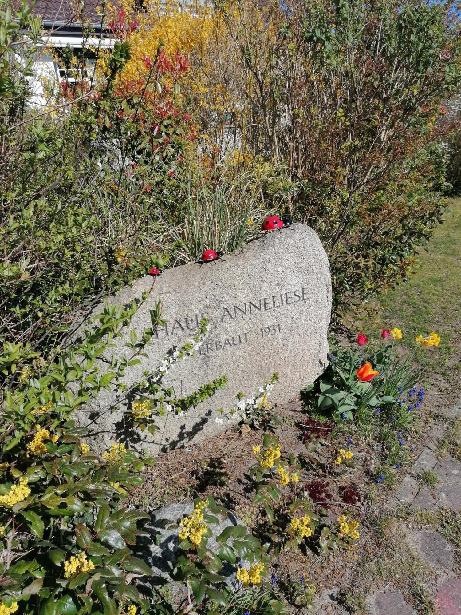Pension Haus Anneliese 우케리츠 외부 사진