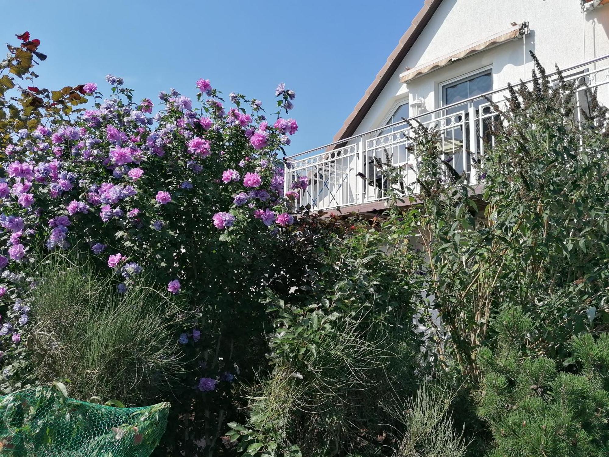 Pension Haus Anneliese 우케리츠 외부 사진